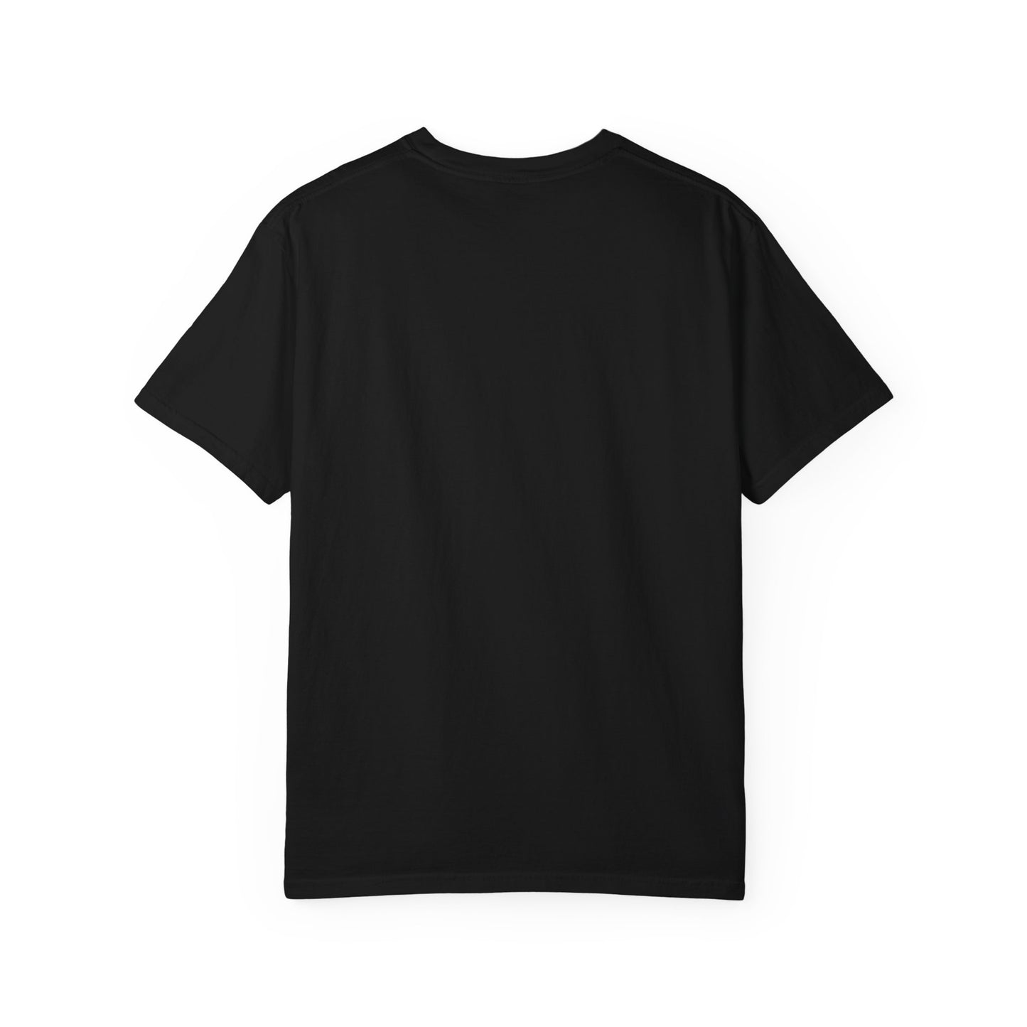 Alligator Alcatraz Black T-shirt | Fun Unisex Tee, Unique Gift, Casual Wear,