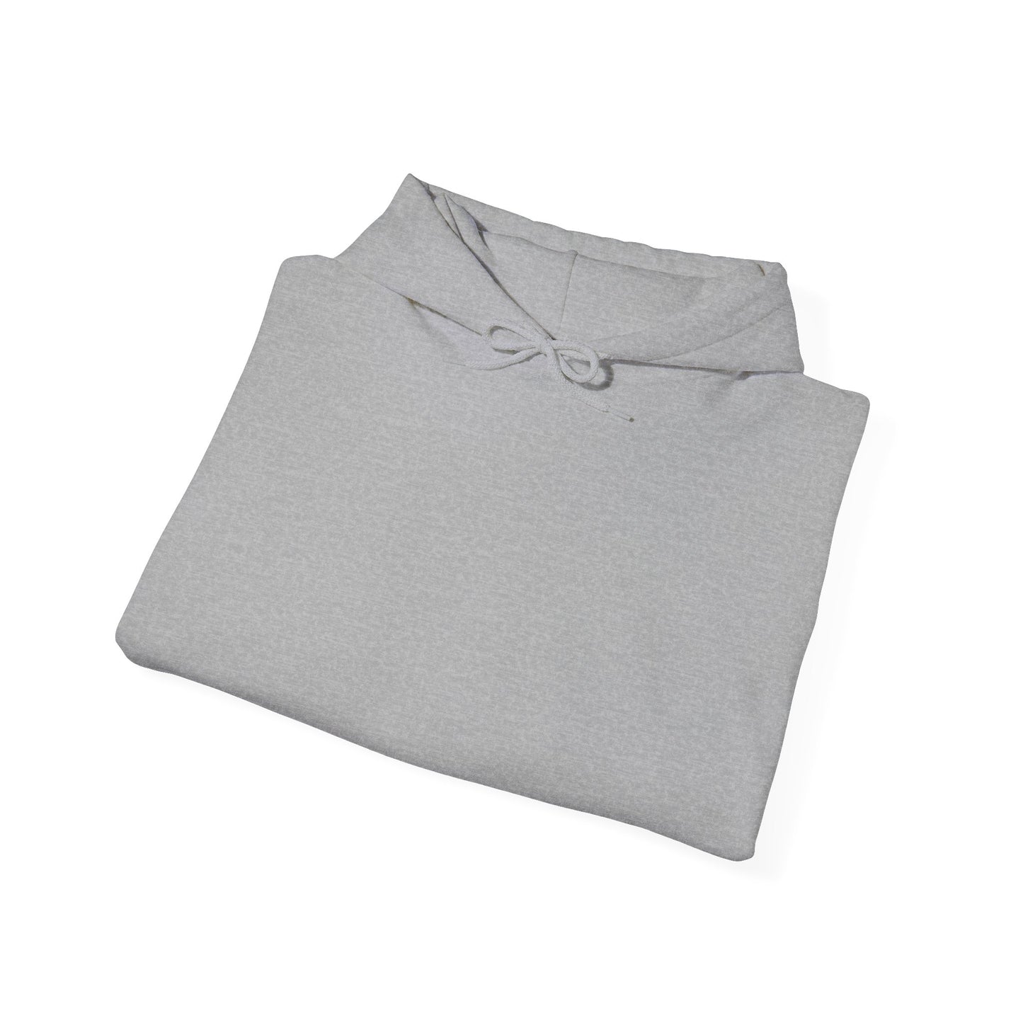 Unisex Hoodie, Funny Sweatshirt, Gift for Him/Her, Comfortable Wear, Casual Style, Trendy Apparel